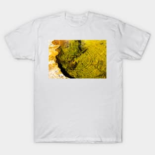 Hot spring at Yellowstone T-Shirt